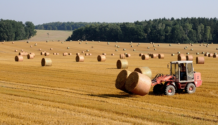 La reprise par le bailleur des terres louées après le décès du locataire