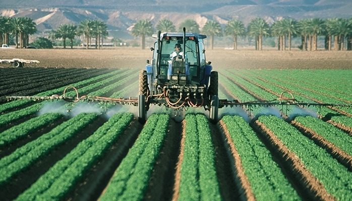 Régulation du foncier agricole au travers de structures sociétaires