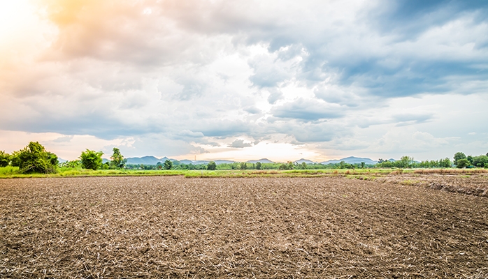 Substitution SAFER : le cahier des charges prévoyant la conclusion d’un bail rural doit être respecté